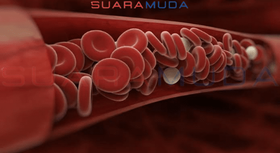 Apa Fungsi Dari Sel Darah Merah Dalam Tubuh Manusia
