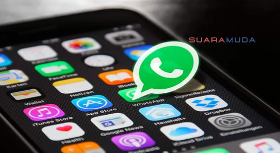 Aplikasi Sadap WhatsApp Free Android dan iOS