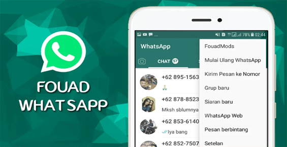 Fouad WhatsApp 2