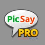 Link Download Picsay Pro