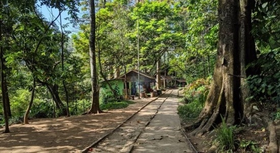 Taman Hutan Raya Ir. H. Djuanda