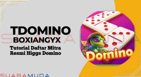Tutorial Cara Mendaftar Sebagai Mitra Sah Higgs Domino Tdomino Boxiangyx