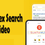 yandex search video