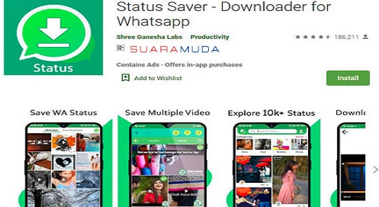 Download Status WA Via Status Saver