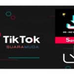 Savetik Video Downloader Tanpa Watermark