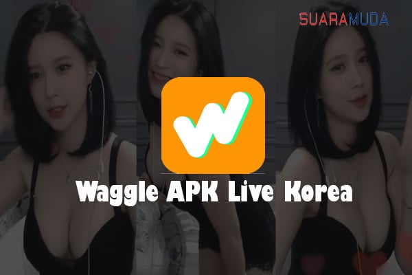 Waggle APK Live Korea