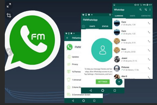 Bagaimana Cara Mengindari Ancaman Terkena Banned Pada FM WhatsApp?
